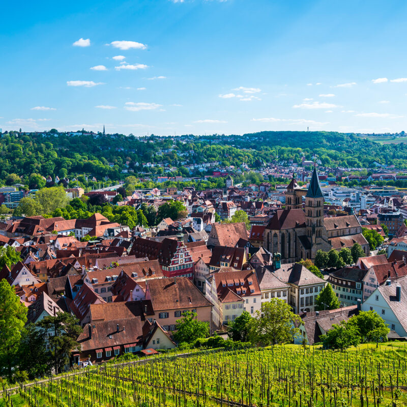 iStock-1348061311